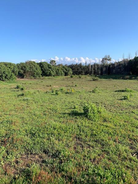 Finca Dos Vientos Tarifa Dış mekan fotoğraf
