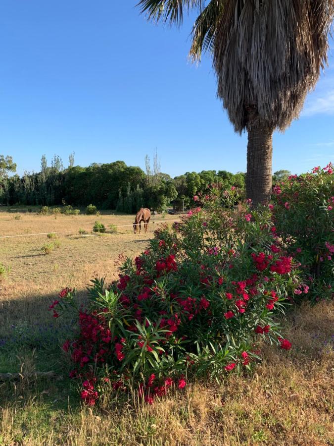 Finca Dos Vientos Tarifa Dış mekan fotoğraf
